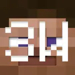 3W纪念.webp
