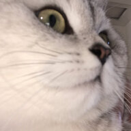 YUDU